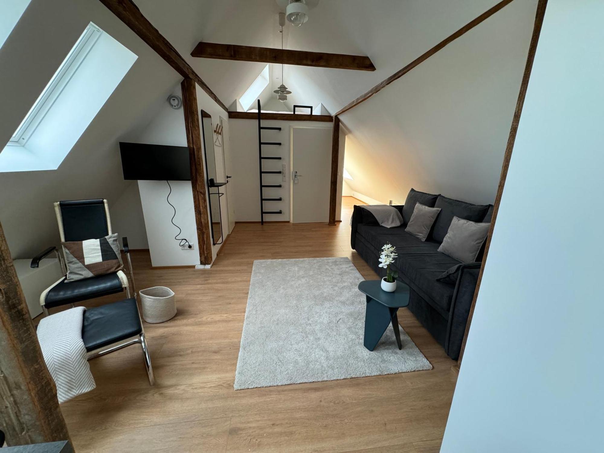 City-apartment In Bester Lage Munster (North Rhine-Westphalia)