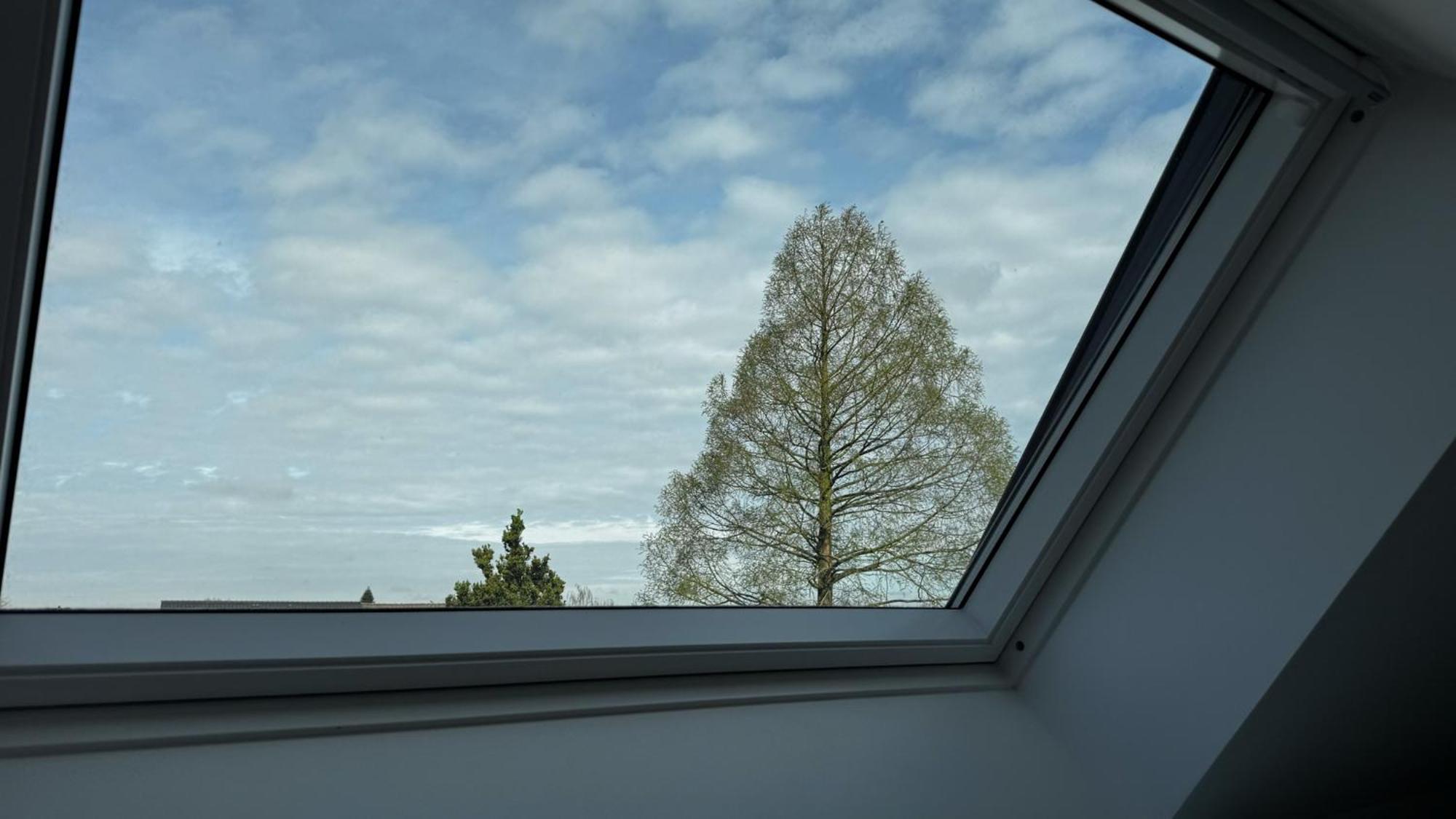 Apartment City-apartment In Bester Lage